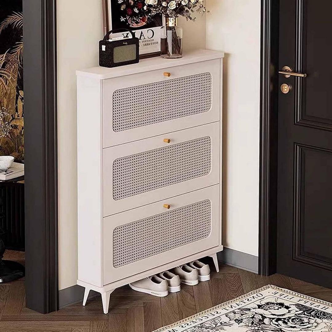 Spacieuse armoire a chaussures en MDF et metal
